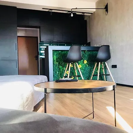 Апартаменты Regina's Modern Studio *