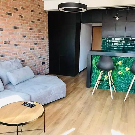 Апартаменты Regina's Modern Studio *